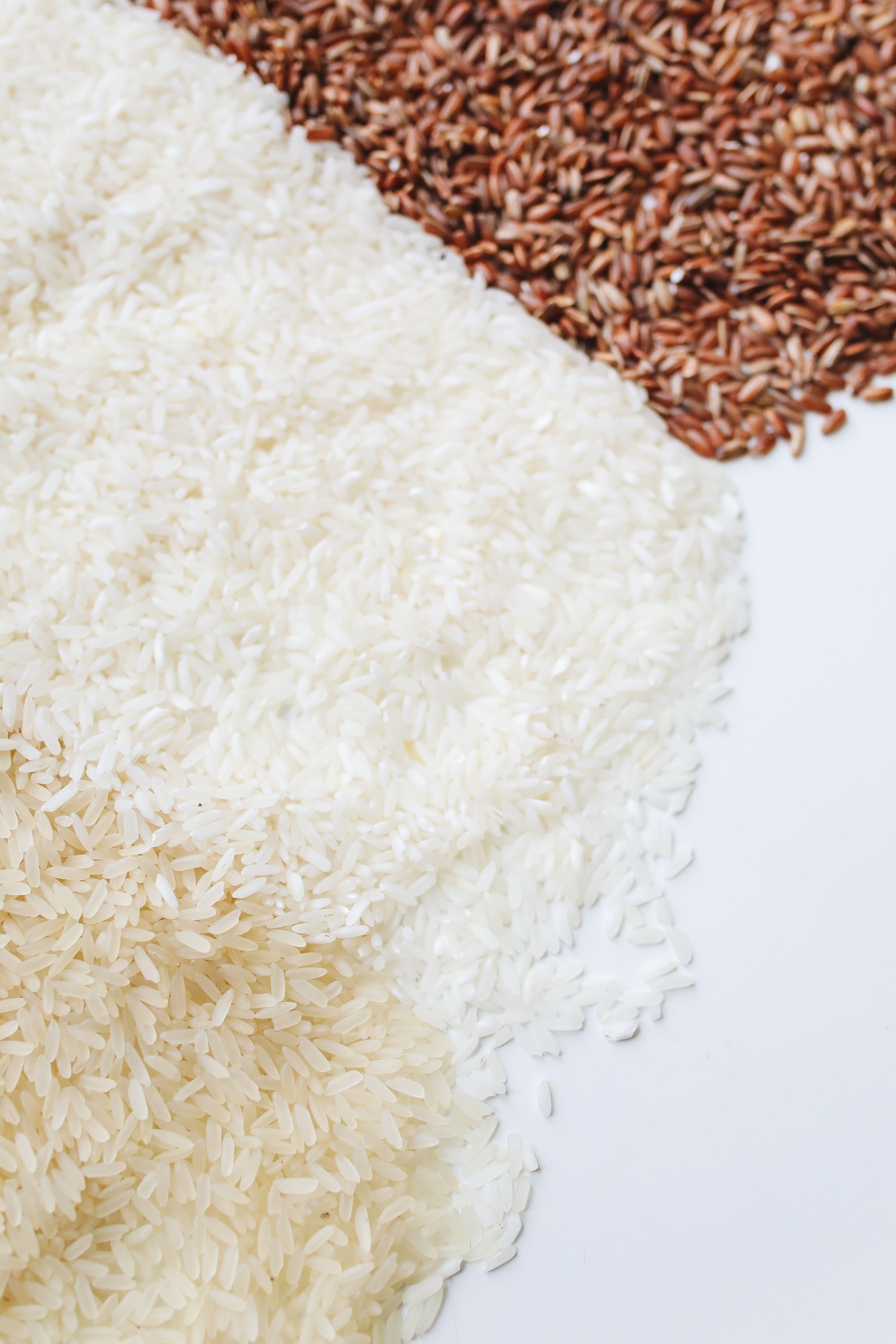 A variety of rices